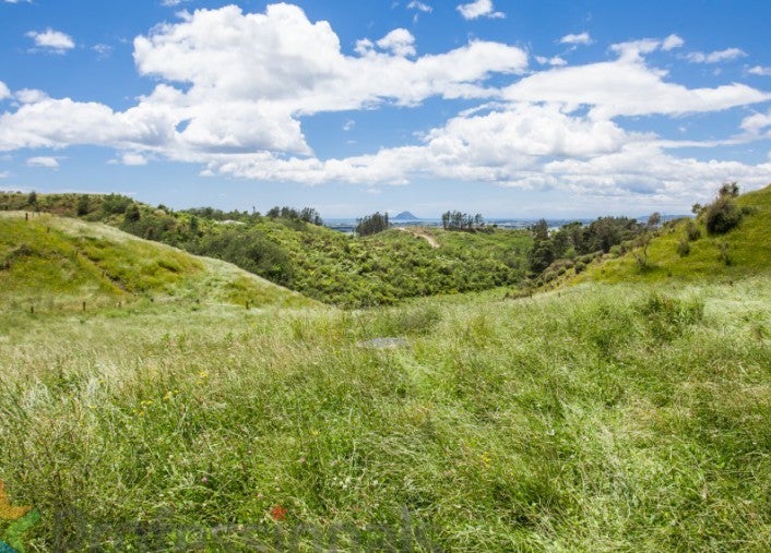 302G Withy RD, MANAWAHE, WHAKATANE - Carousel 1