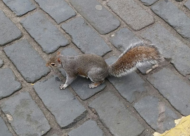 9 Golf Haven Way, Annesbrook, Nelson - Carousel 1