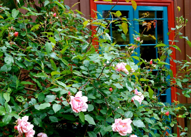 114 Victory Road, Laingholm, Auckland - Carousel 1