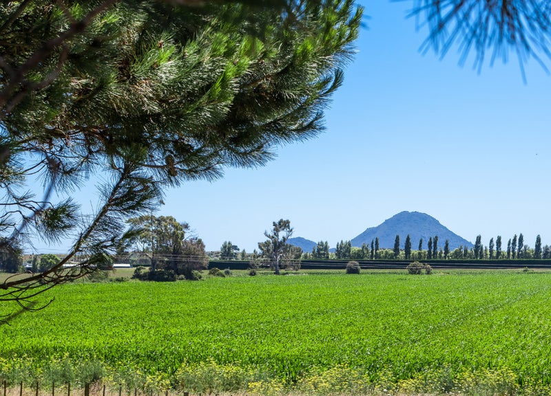 5 Kotare Drive, Coastlands, Whakatane - Carousel 1