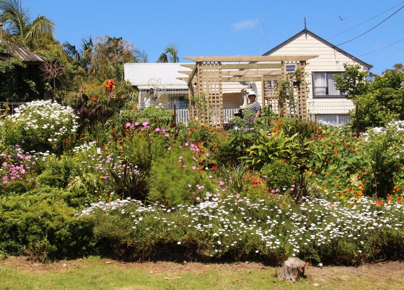 59 Hilltop Avenue, Morningside, Whangarei - Carousel 1