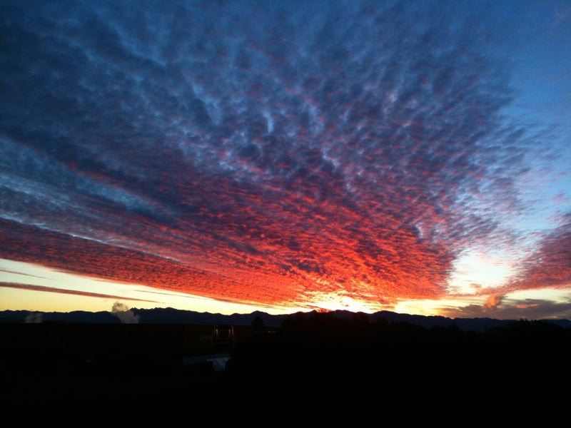 1/256A Annesbrook Drive, Wakatu, Nelson - Carousel 1