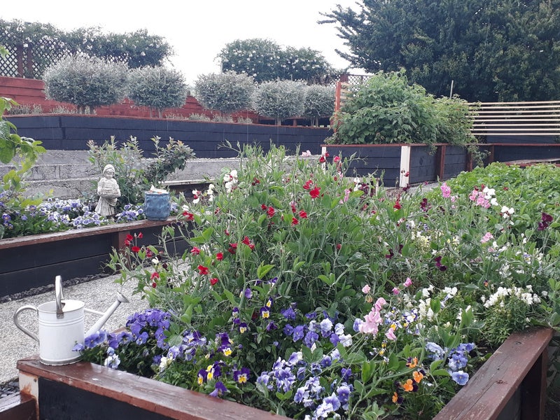 650 Kakepuku Road, Pokuru, Te Awamutu - Carousel 1