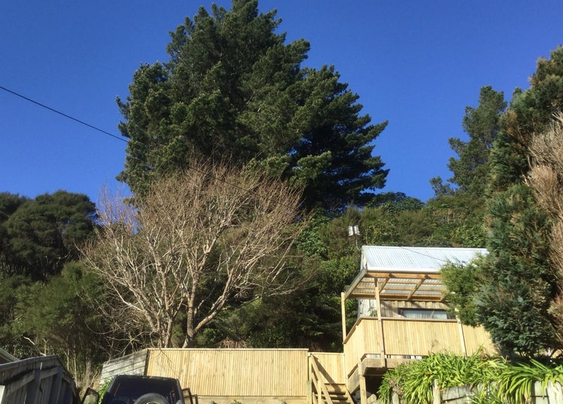 1/77 Petrie Street, Wainuiomata, Lower Hutt - Carousel 1