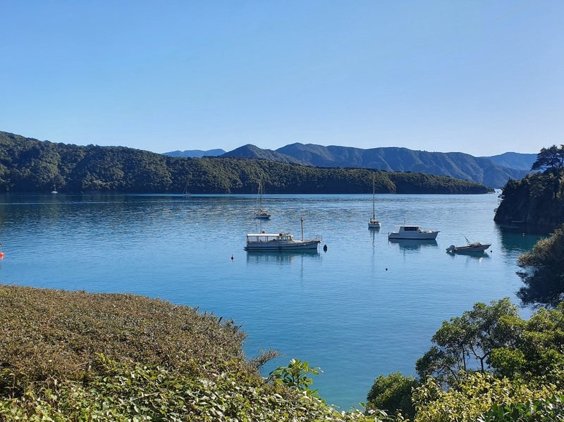 119 Port Underwood Road, Waikawa, Picton - Carousel 1