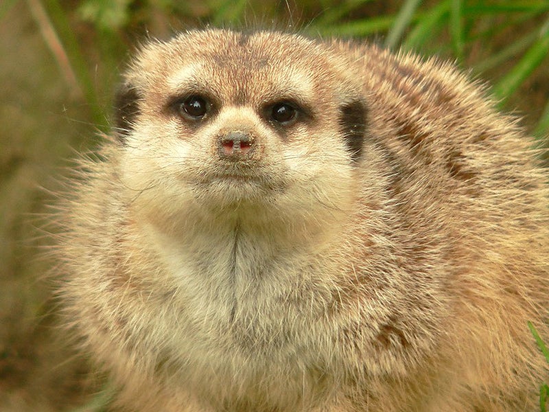 139 Fernhill Road, Fernhill, Queenstown - Carousel 1