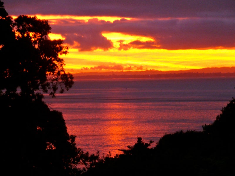 97 Cornwallis Road, Cornwallis, Auckland - Carousel 1