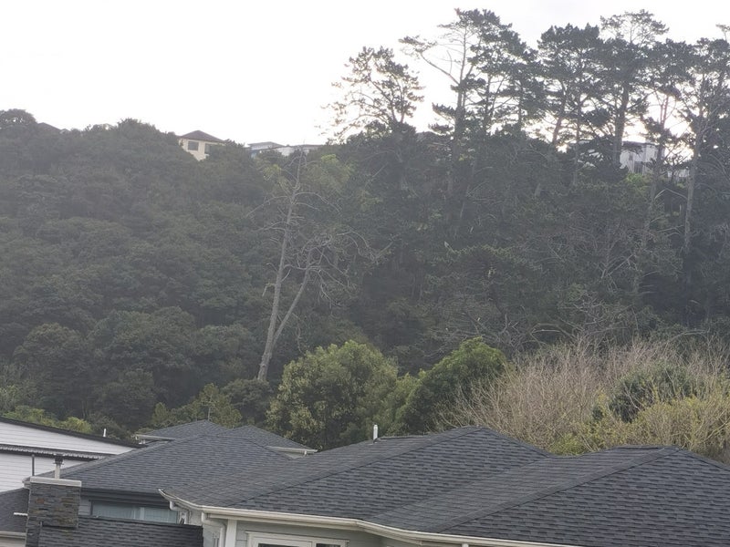 9 Moko Lane, Greenhithe, Auckland - Carousel 1