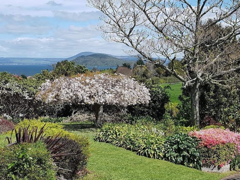 196 State Highway 33, Tikitere, Rotorua - Carousel 1