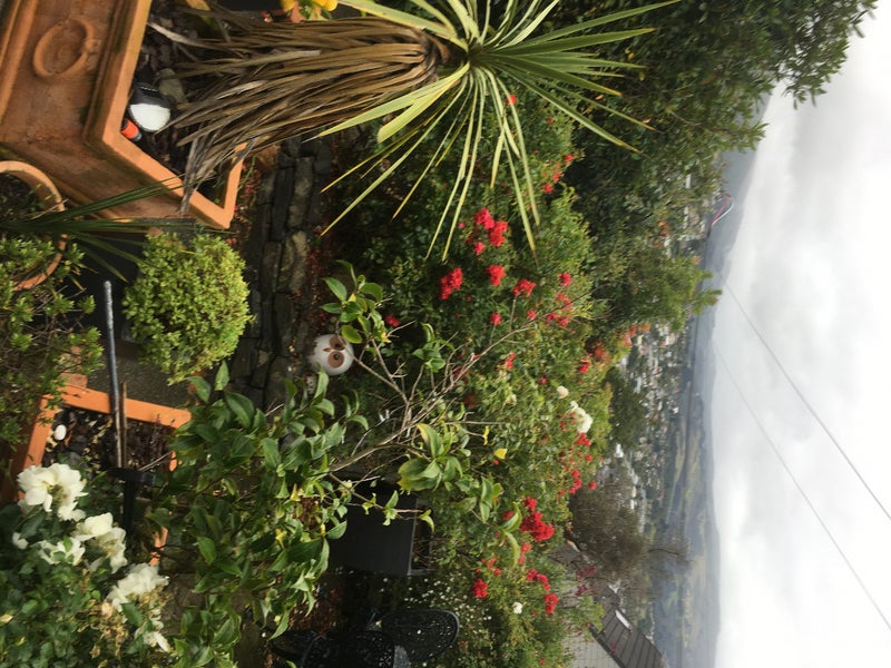 12 Northview Crescent, Belleknowes, Dunedin - Carousel 1