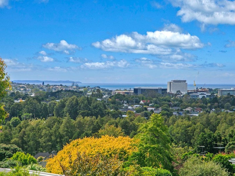 3/85 Ocean View Road, Hillcrest, Auckland - Carousel 1