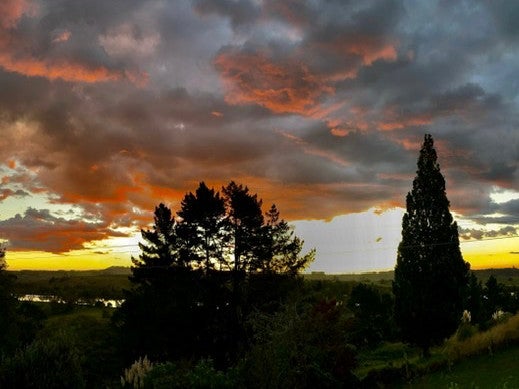 6 Kohekohe Street, MEREMERE, MERCER - Carousel 1