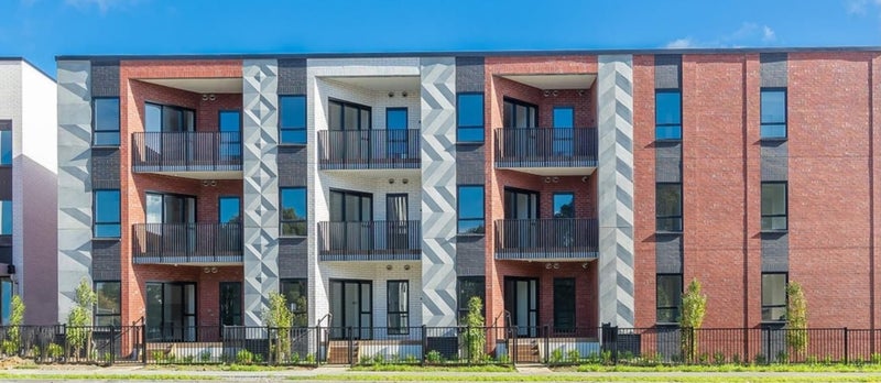 1C Oakley Avenue, Waterview, Auckland - Carousel 1