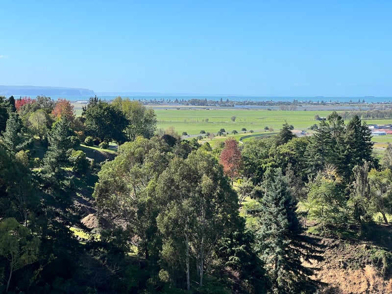 88 Oak Road, Poraiti, Napier - Carousel 1