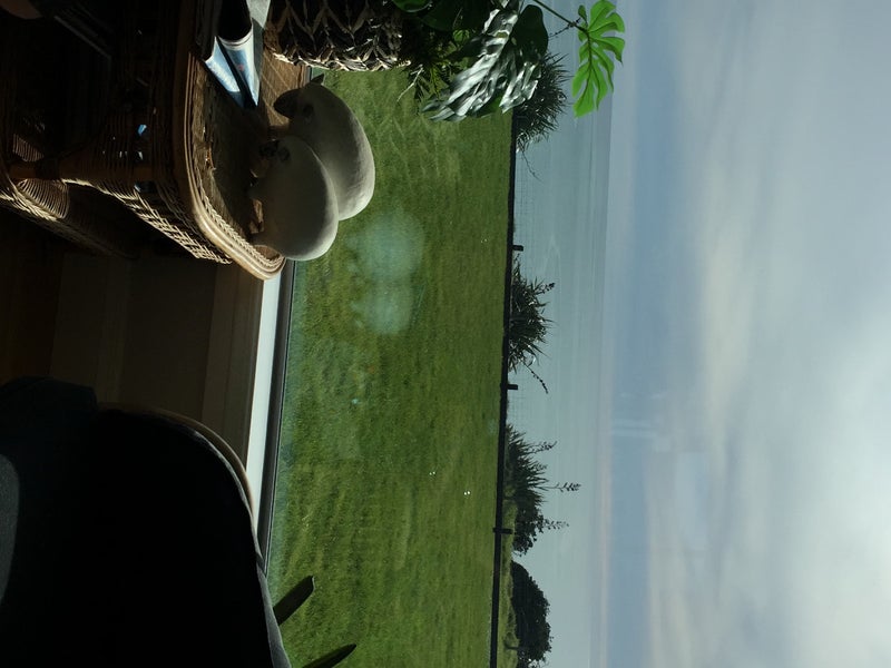 956 South Road, Omata, New Plymouth - Carousel 1