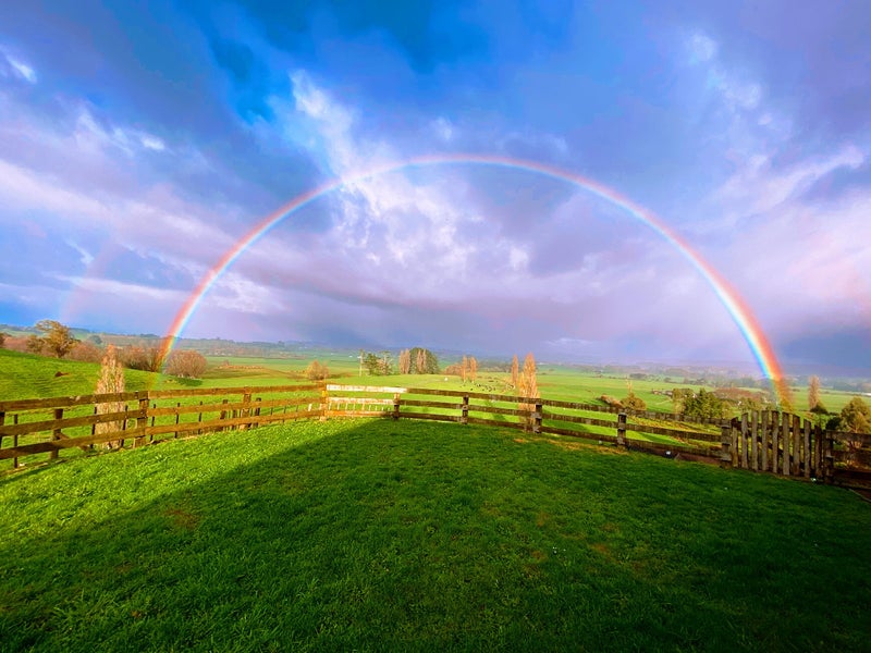 206A Duck Road, Rotokauri, Hamilton - Carousel 1