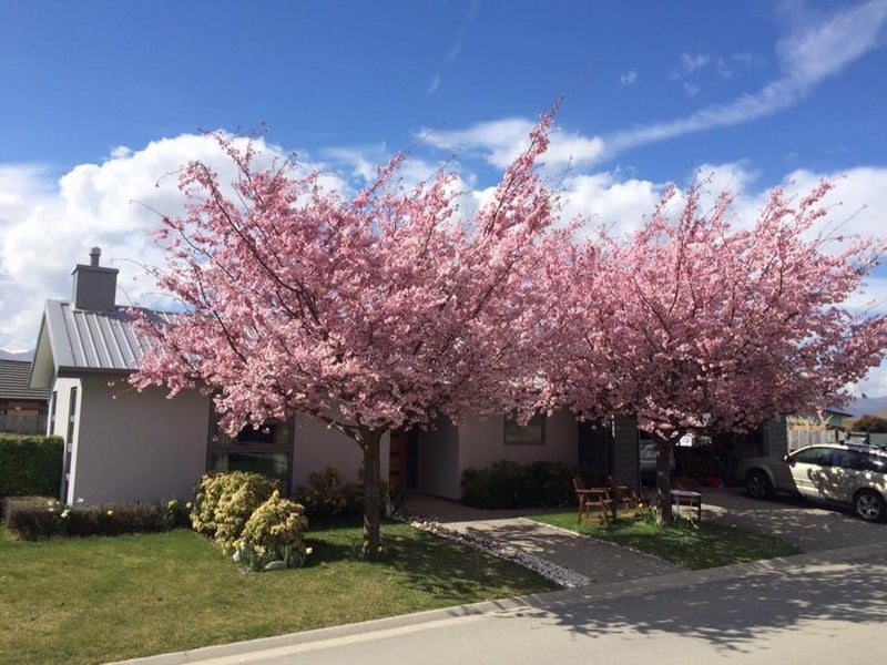 48 Onslow Road, Lake Hayes, Queenstown - Carousel 1