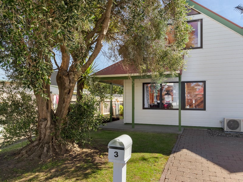 3/58 Cuba St, Petone, Lower Hutt - Carousel 1
