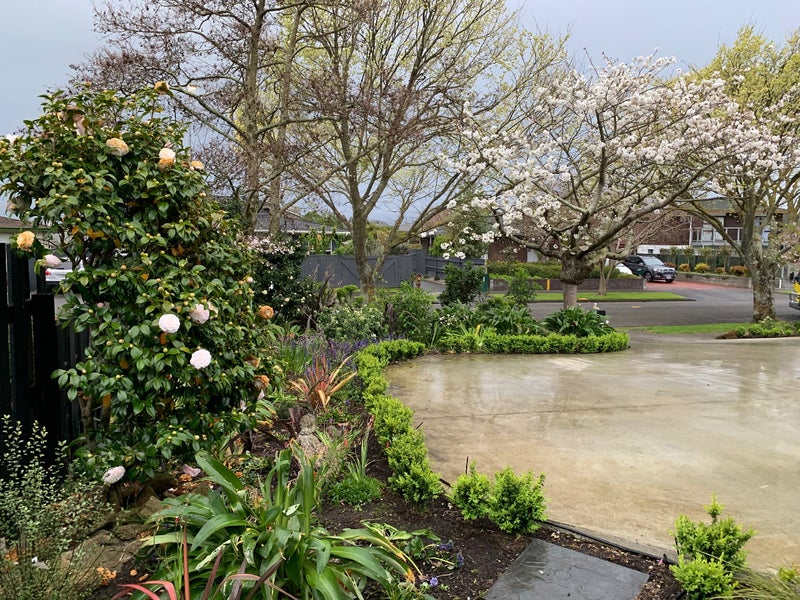 44 Carter Crescent, Awapuni, Palmerston North - Carousel 1