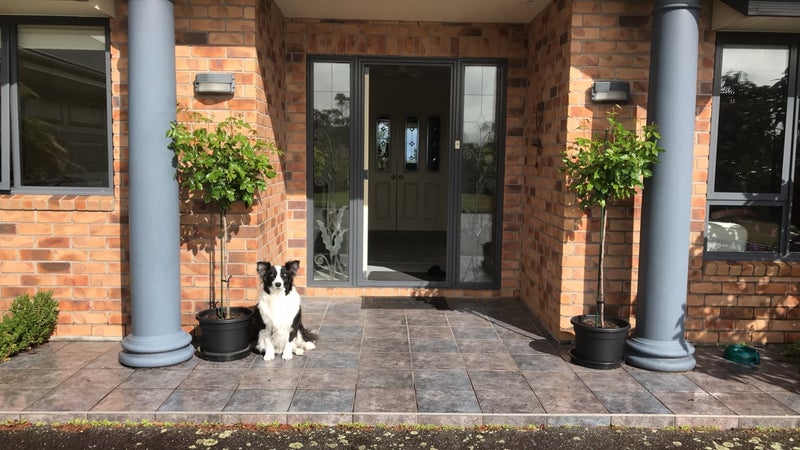 93 Brickfield Road, Blue Spur, Hokitika - Carousel 1