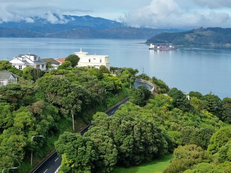 1 Lohia Street, Khandallah, Wellington - Carousel 1