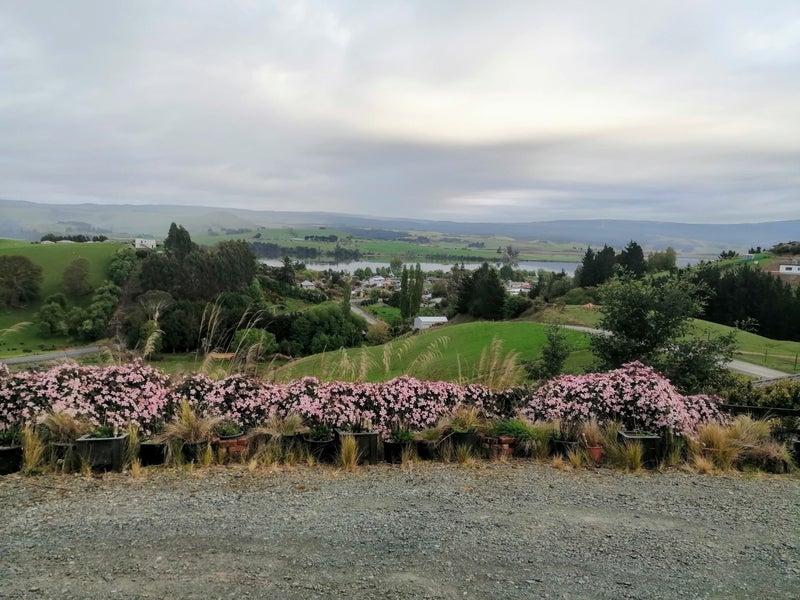 2A Beacon Street, Waihola - Carousel 1