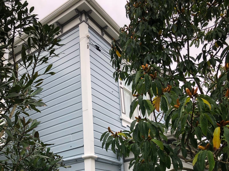 17 Roy Street, Newtown, Wellington - Carousel 1