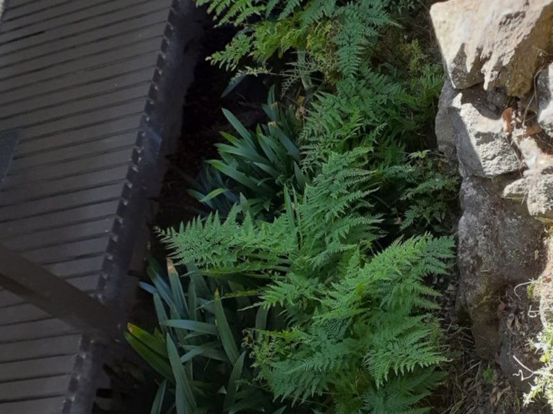 4/373 Khyber Pass Road, Newmarket, Auckland - Carousel 1