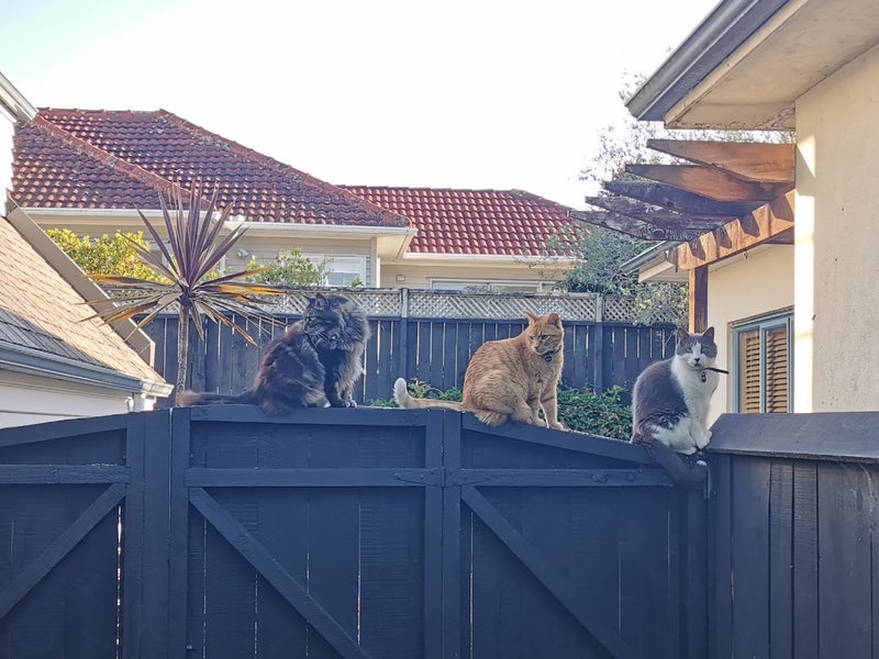 28B Comins Crescent, Mission Bay, Auckland - Carousel 1