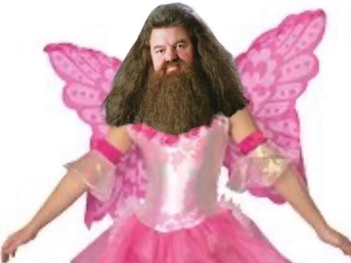 100A Clifton Terrace, Clifton, Christchurch - Carousel 1