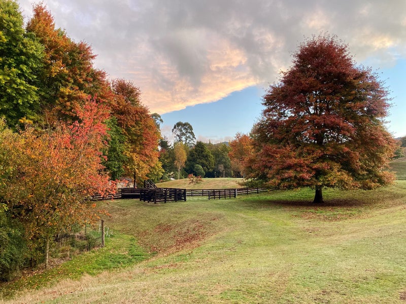 763 Paradise Valley Road, Ngongotahā Valley, Ngongotaha Valley - Carousel 1