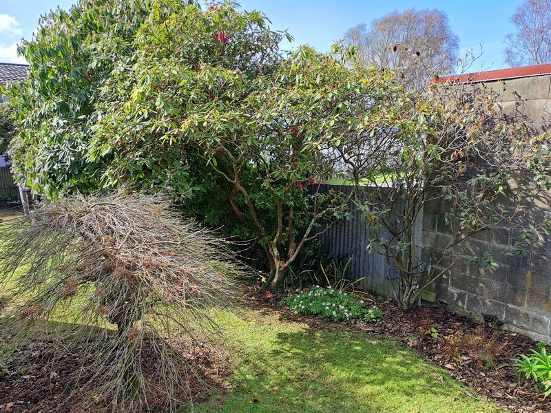 5/163 Queens Drive, Richmond, Invercargill - Carousel 1