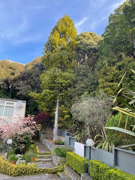 37 Oak Avenue, Paremata, Porirua - Carousel 1