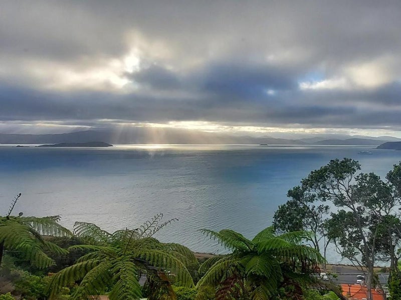 11 Homebush Road, Khandallah, Wellington - Carousel 1