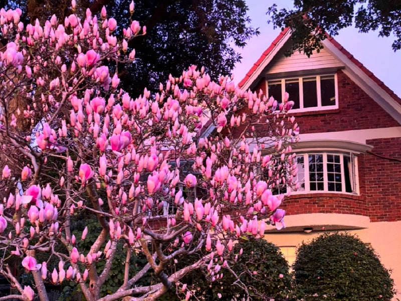 5 Easdale Street, Kelburn, Wellington - Carousel 1