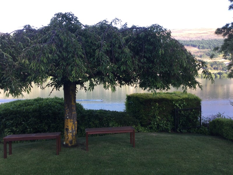 299B Peninsula Road, Kelvin Heights, Queenstown - Carousel 1