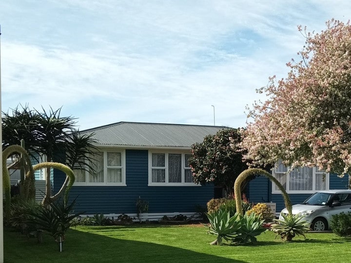 37 Andrew Street, Elgin, Gisborne - Carousel 1