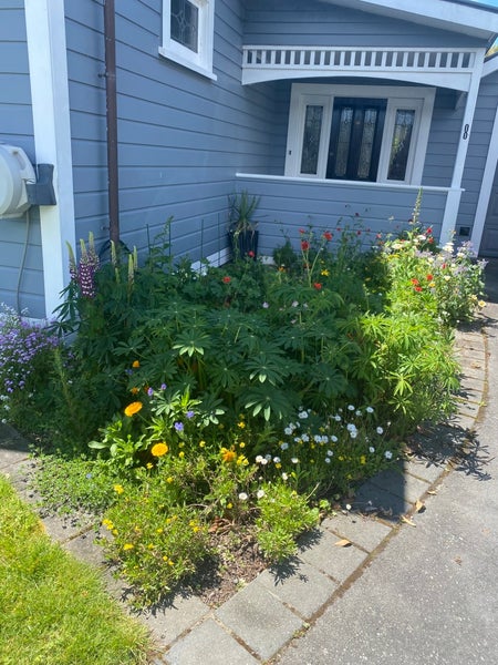 8 Mudie Street, Alicetown, Lower Hutt - Carousel 1