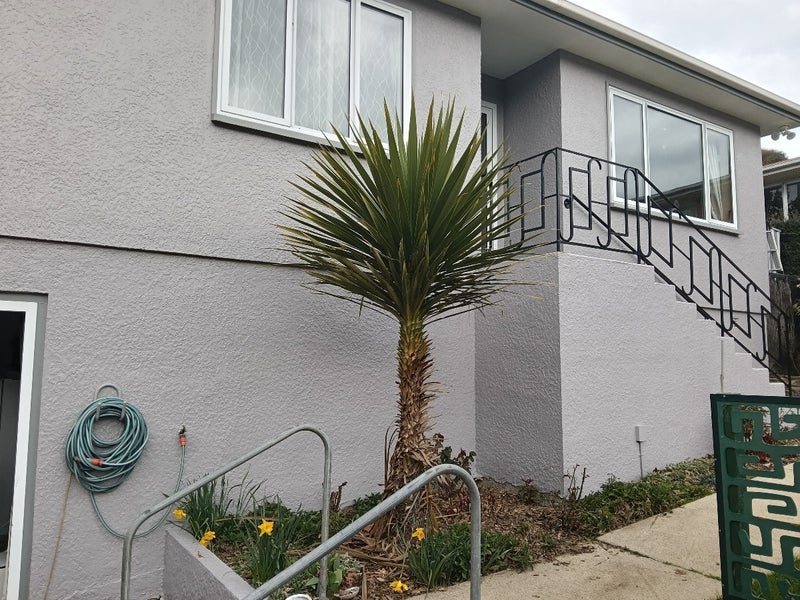 465 Kaikorai Valley Road, Bradford, Dunedin - Carousel 1