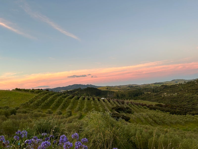 92 Frantoio Ridge Road, Mangonui - Carousel 1