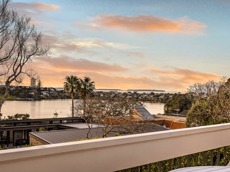 17 Killarney Street, Takapuna, Auckland - Carousel 1