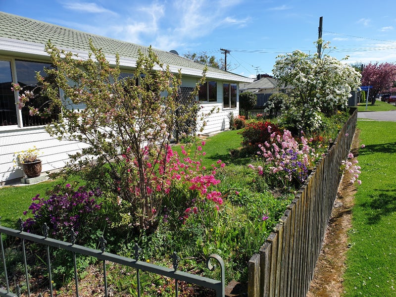 65 McLauchlan Street, Springlands, Blenheim - Carousel 1