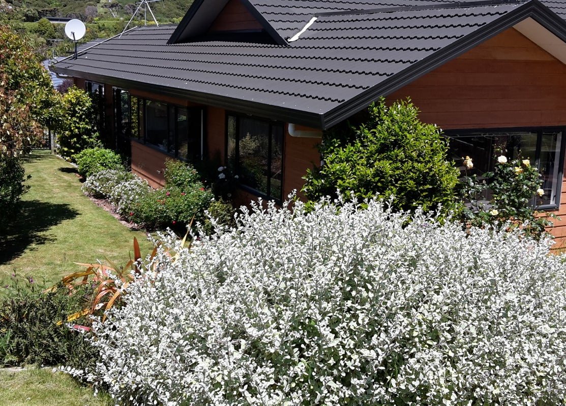 6 Bowman Place, Whitby, Porirua - Carousel 1