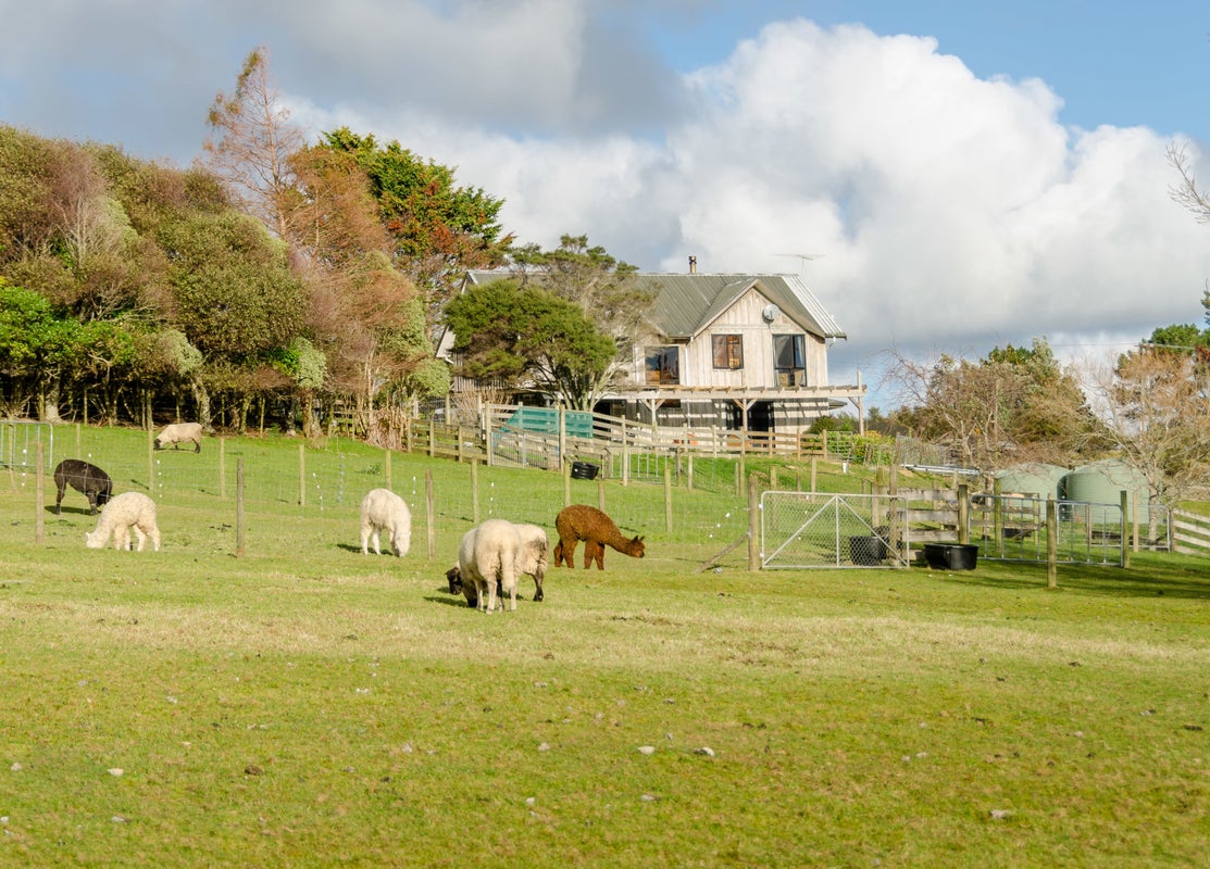 1473 Kaipara Coast Highway, Warkworth - Carousel 1