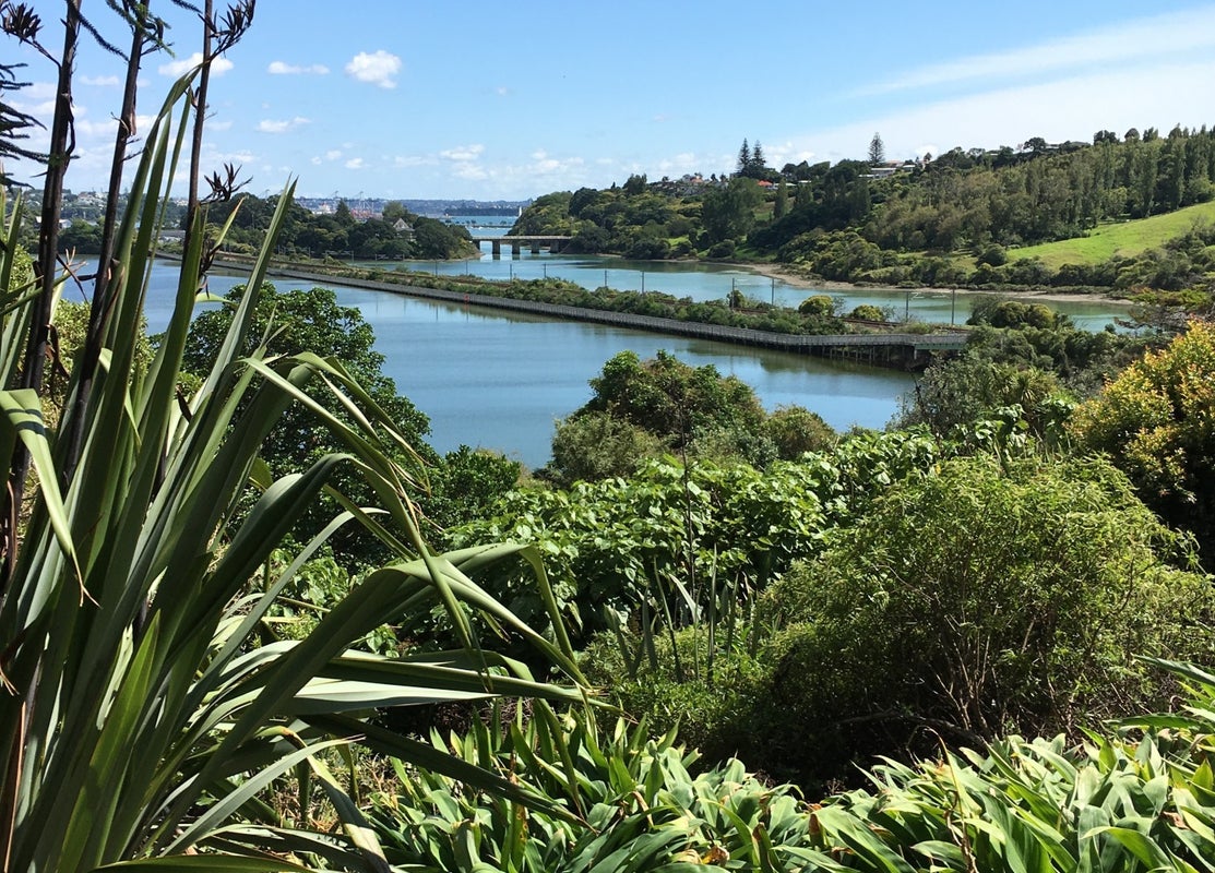 15A Puroto Street, Meadowbank, Auckland - Carousel 1