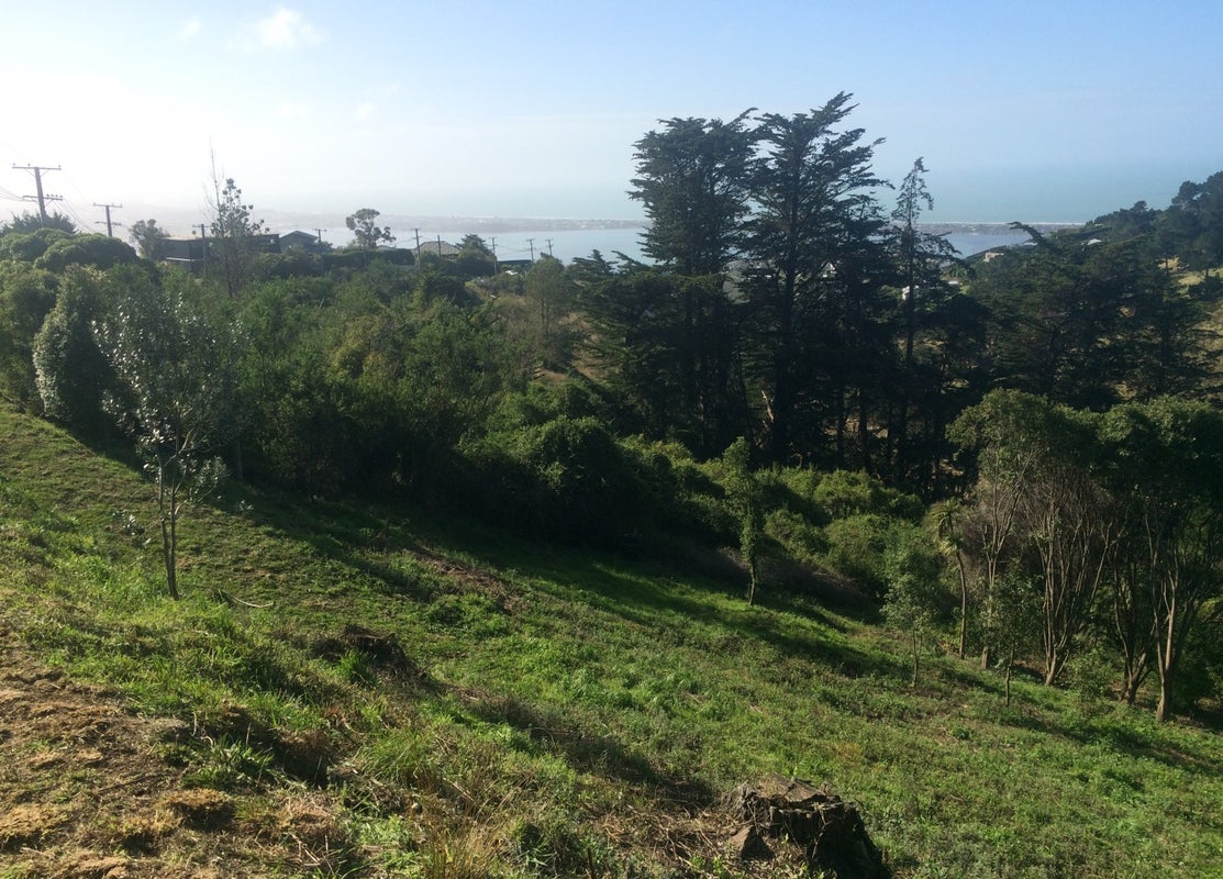 291 Mount Pleasant Road, Mount Pleasant, Christchurch - Carousel 1