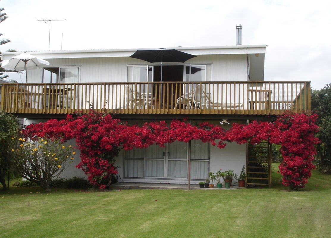 6 Harsant Avenue, Hahei - Carousel 1