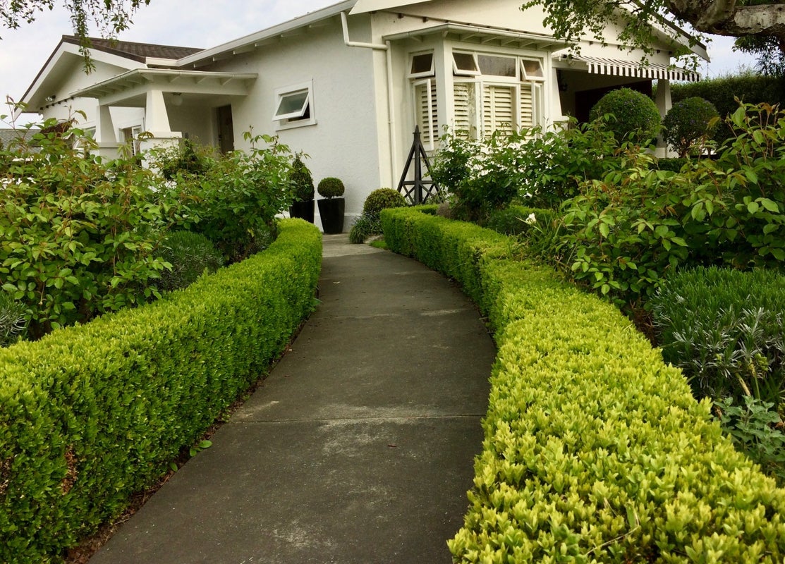 44 Herrick Street, Marewa, Napier - Carousel 1