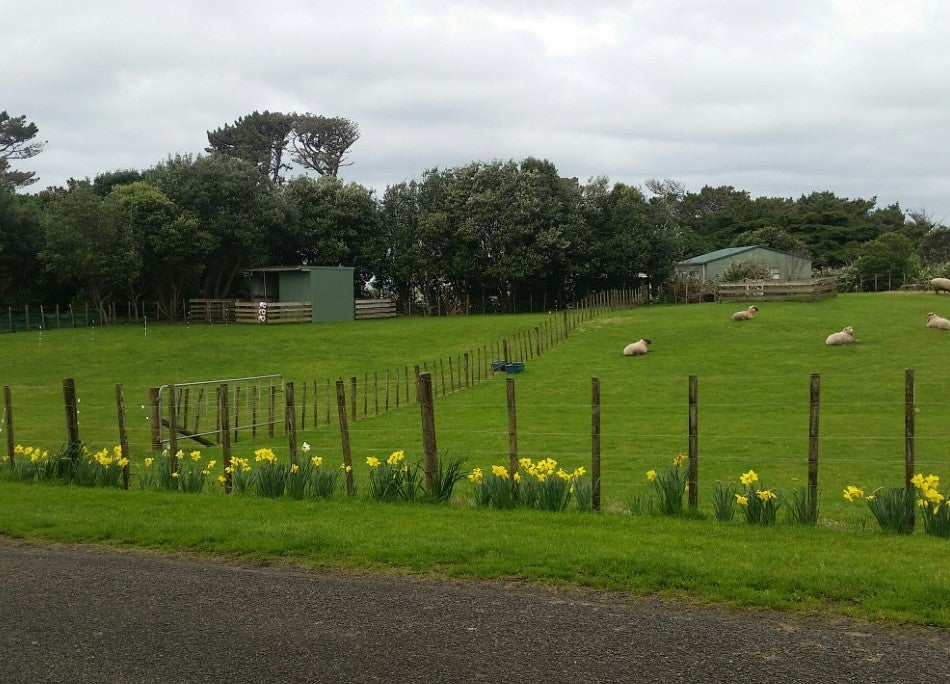 91B DOUGLAS ROAD, Waiuku - Carousel 1