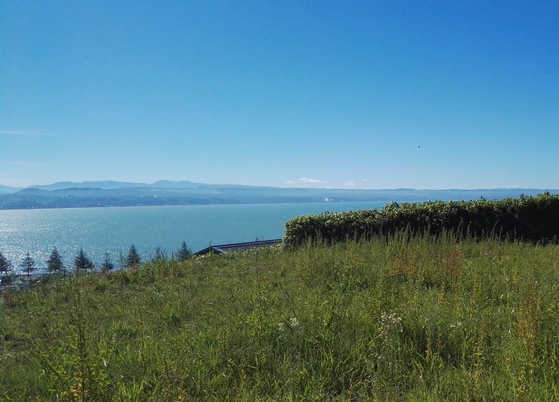 12A Roslyn Road, Bluff Hill, Napier - Carousel 1
